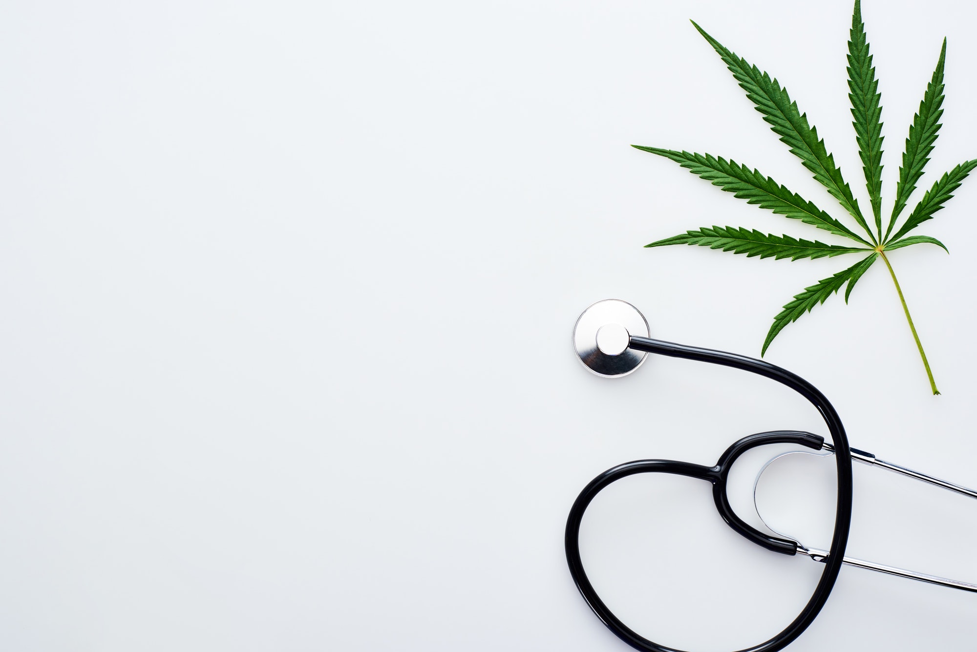 top view of medical cannabis leaf near stethoscope on white background